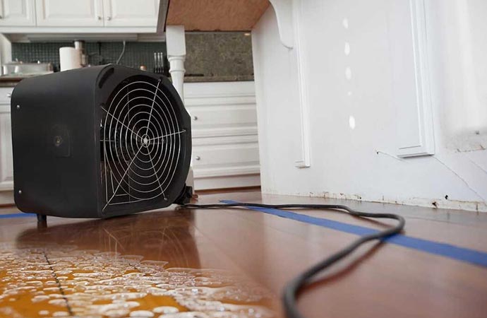 Water damage & mold removal service
