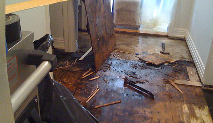 Water Damage & Mold Remediation for Apartments in Detroit, MI