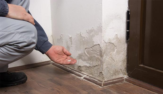 Detect Water Leaks in Walls